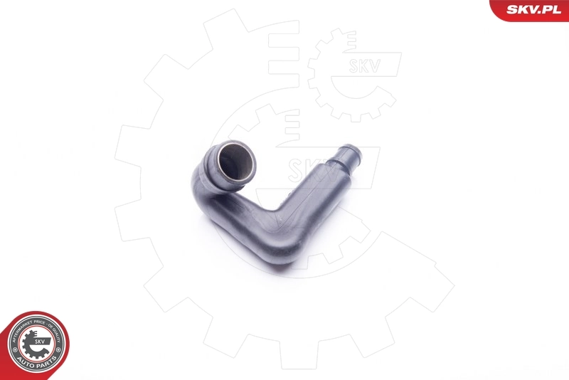 Hose, crankcase ventilation